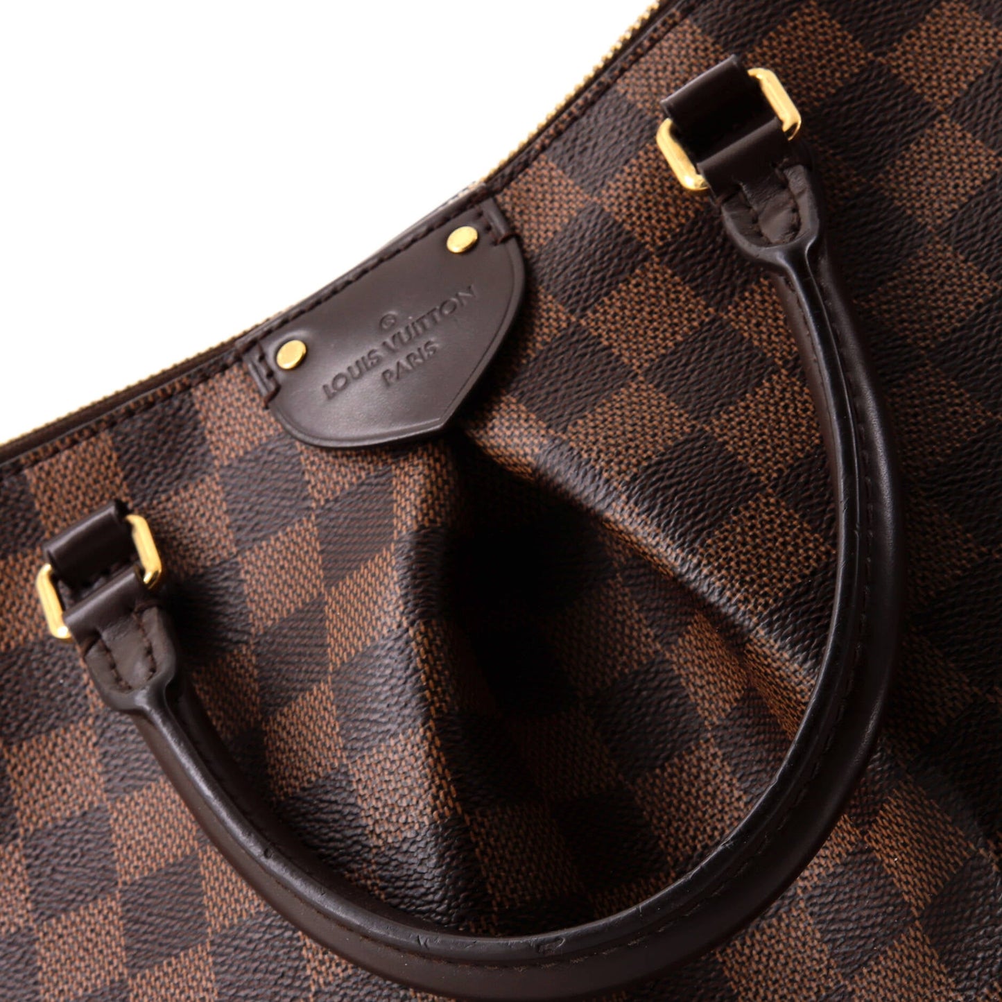 Siena Handbag Damier MM