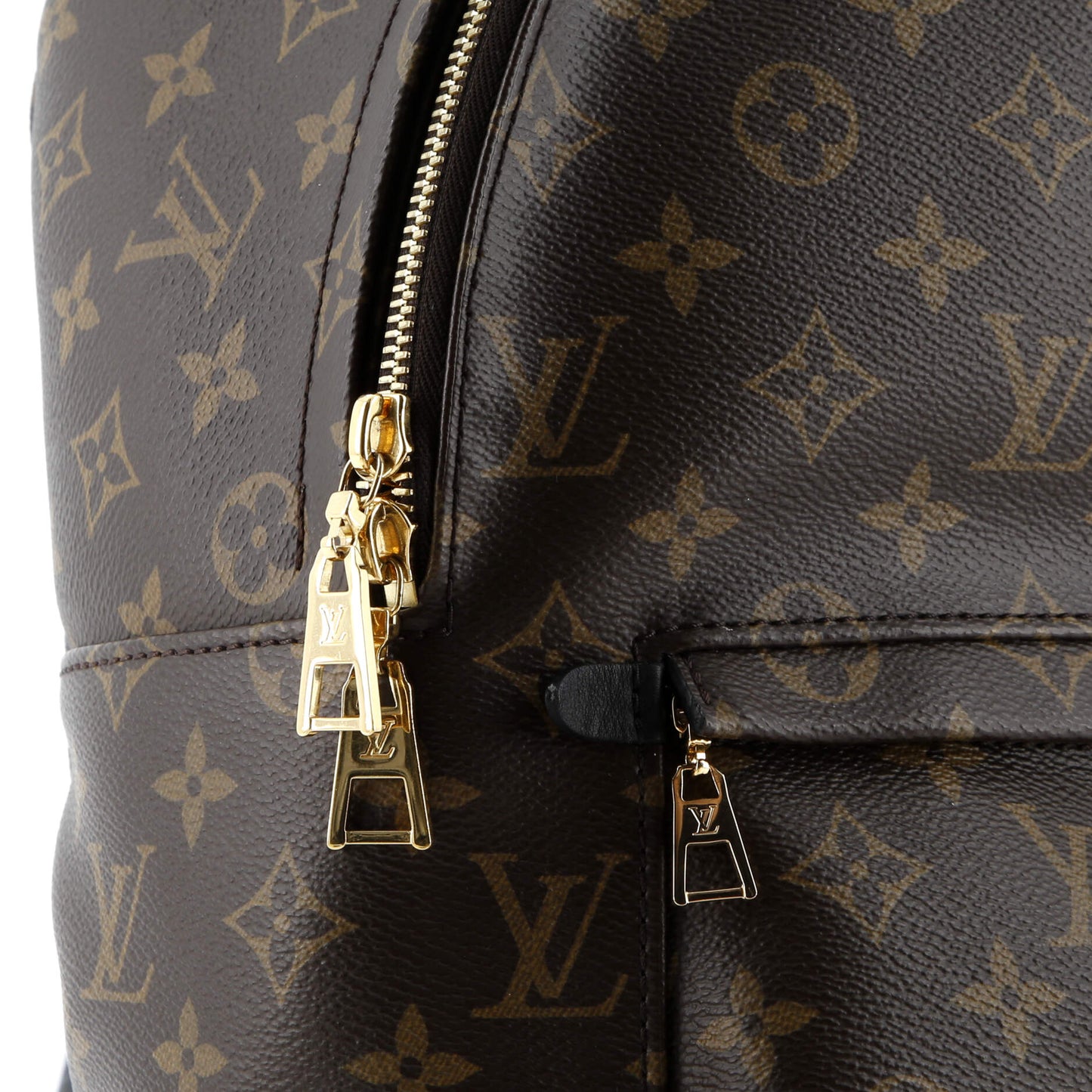 Palm Springs Backpack Monogram Canvas MM