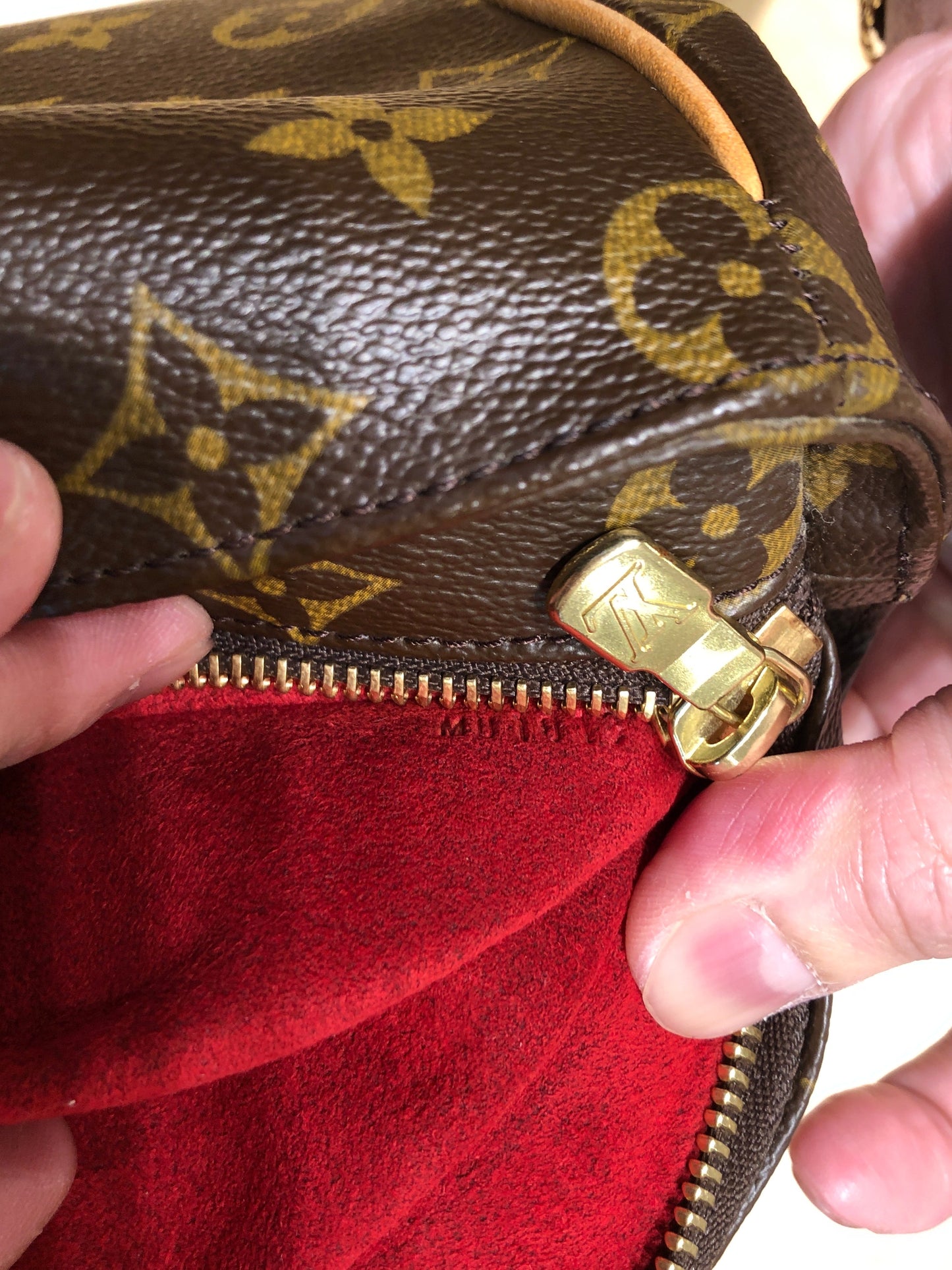 Multipli Cite Handbag Monogram Canvas