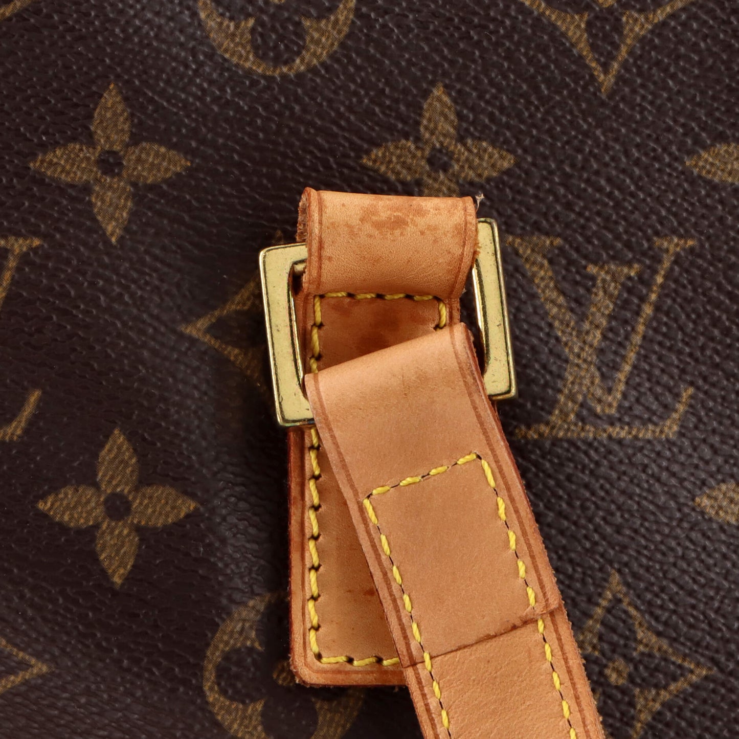Cabas Piano Monogram Canvas