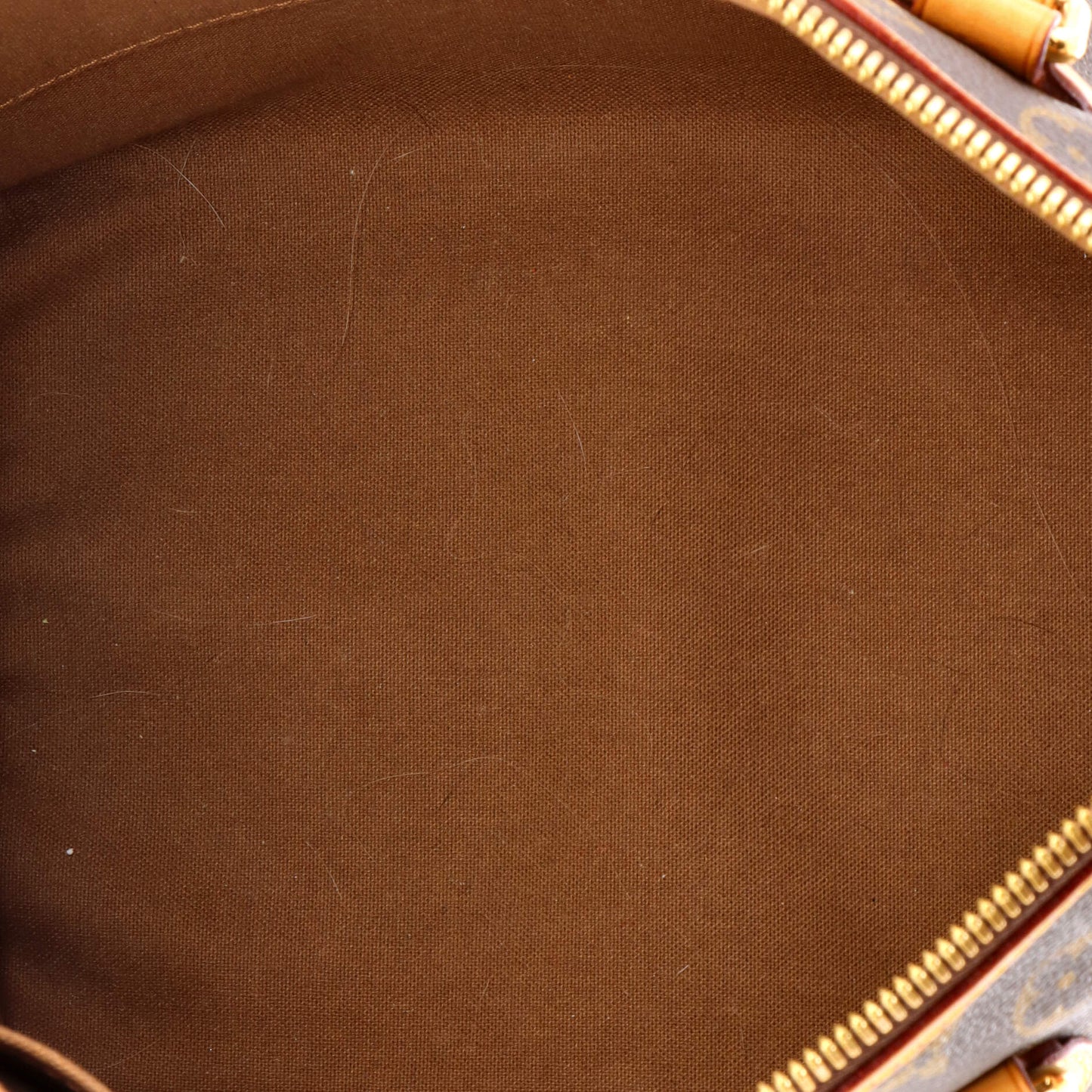 Palermo Handbag Monogram Canvas PM