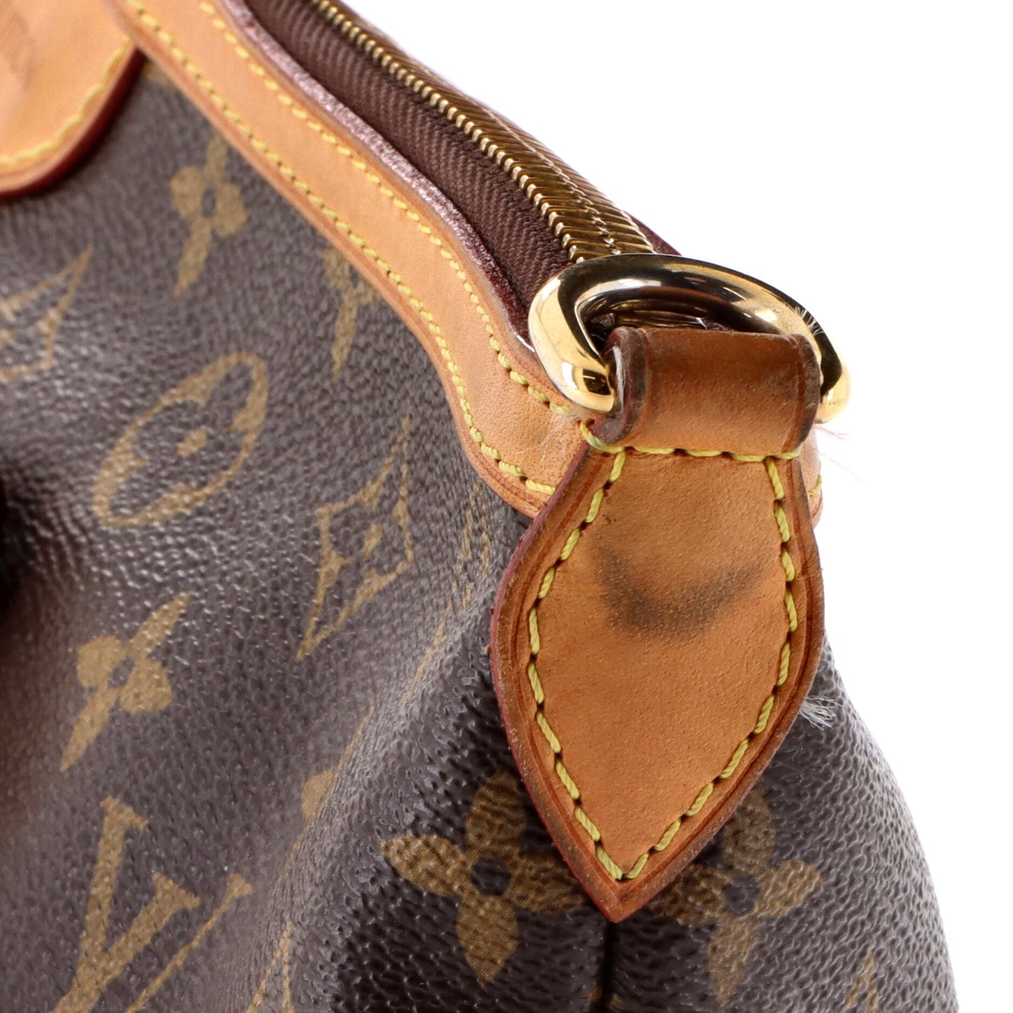 Palermo Handbag Monogram Canvas PM