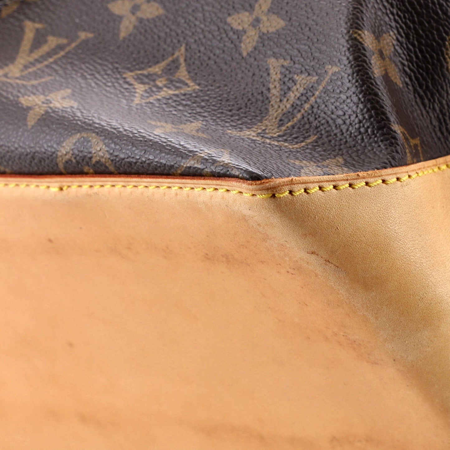 Cabas Piano Monogram Canvas