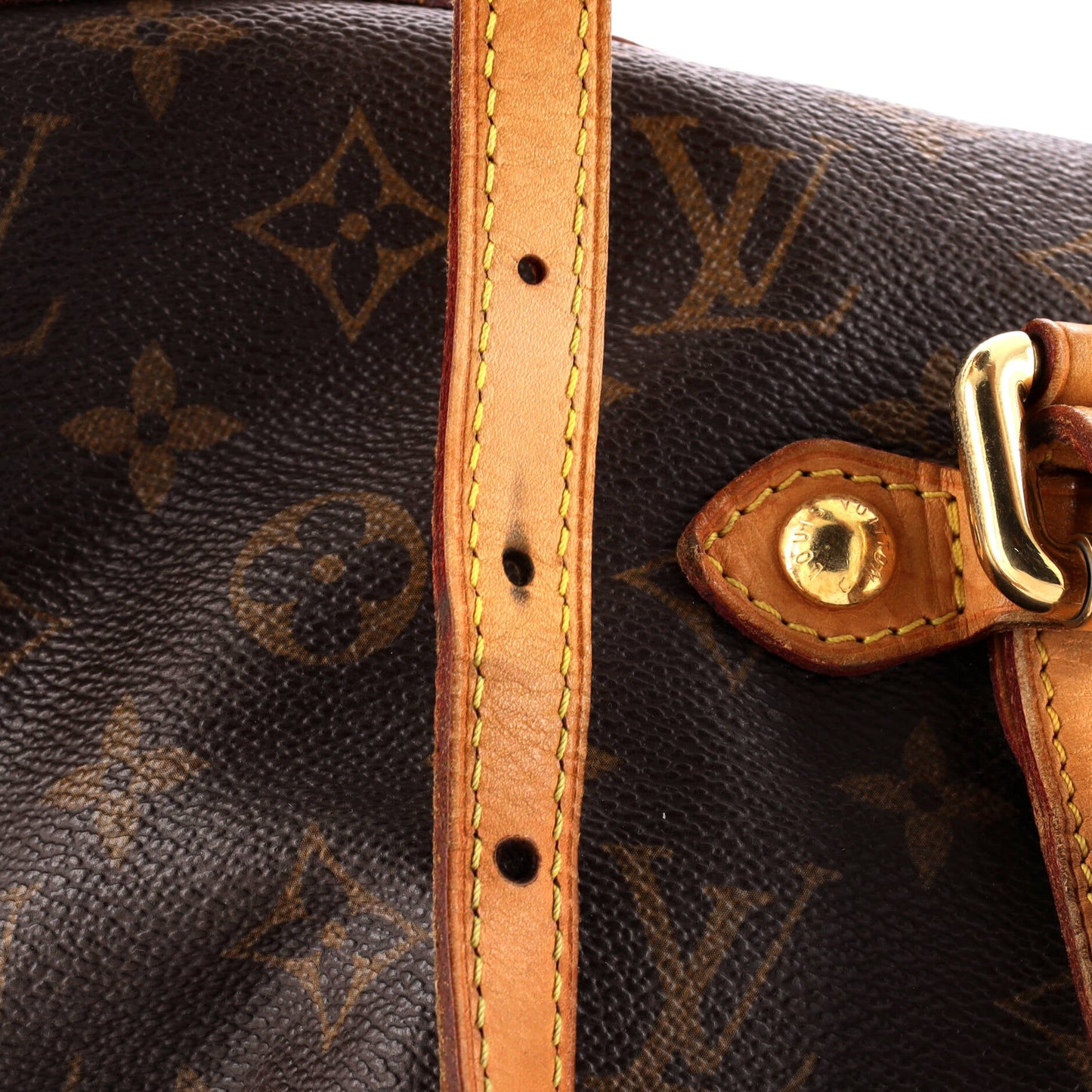 Palermo Handbag Monogram Canvas GM