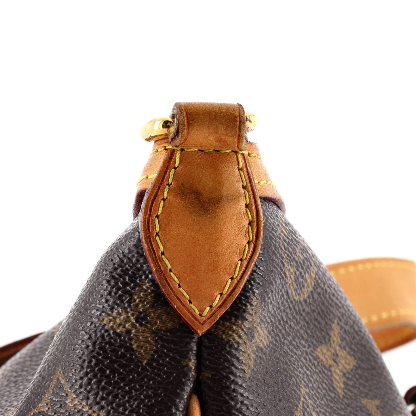 Palermo Handbag Monogram Canvas PM