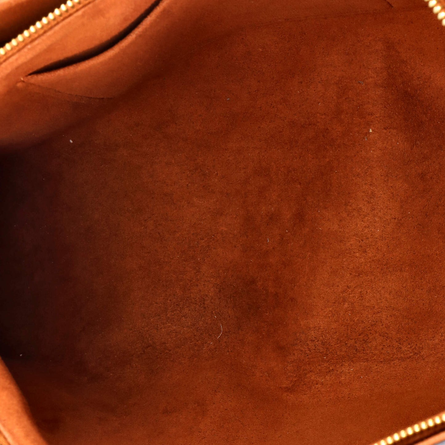 Surene Handbag Monogram Canvas with Leather MM