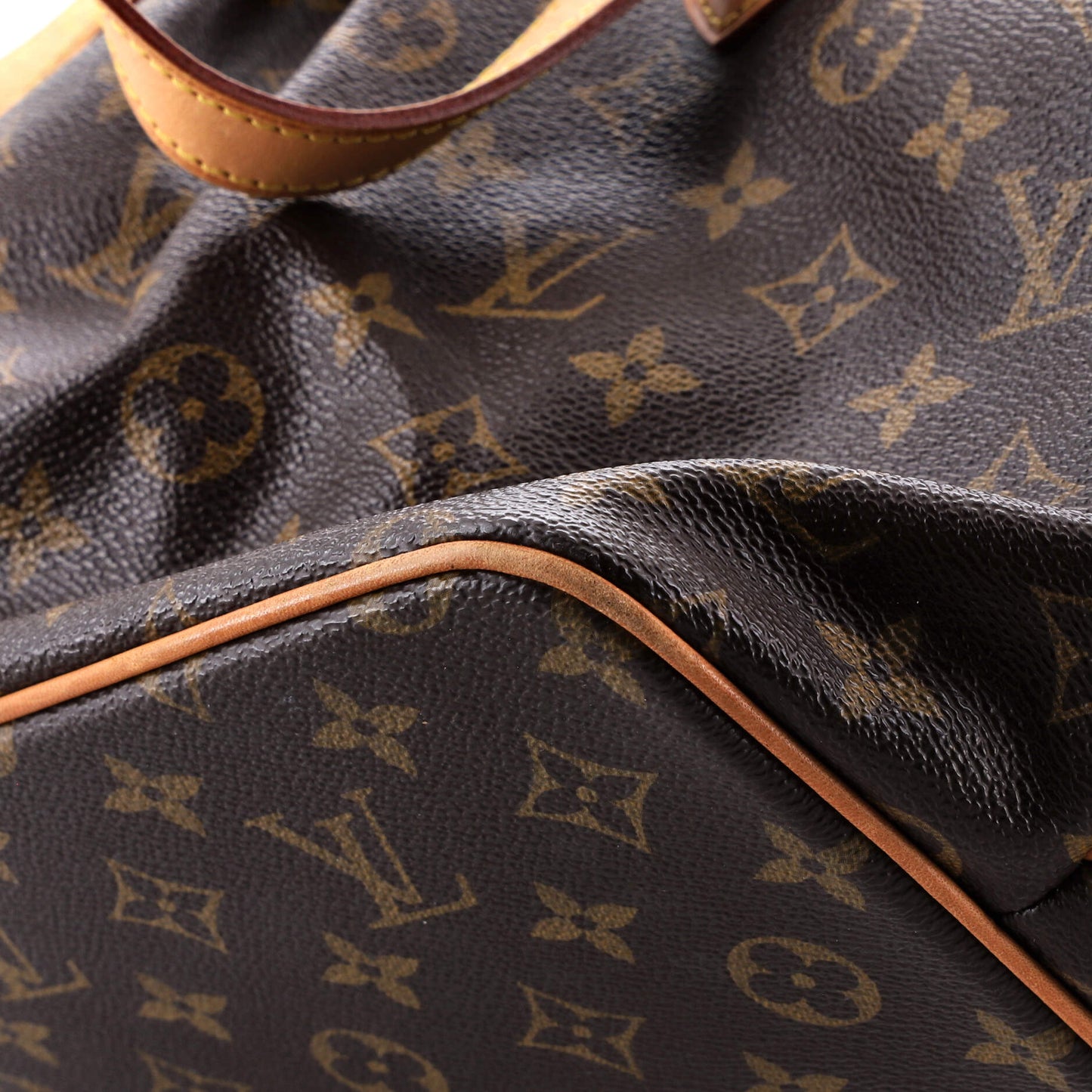 Palermo Handbag Monogram Canvas PM