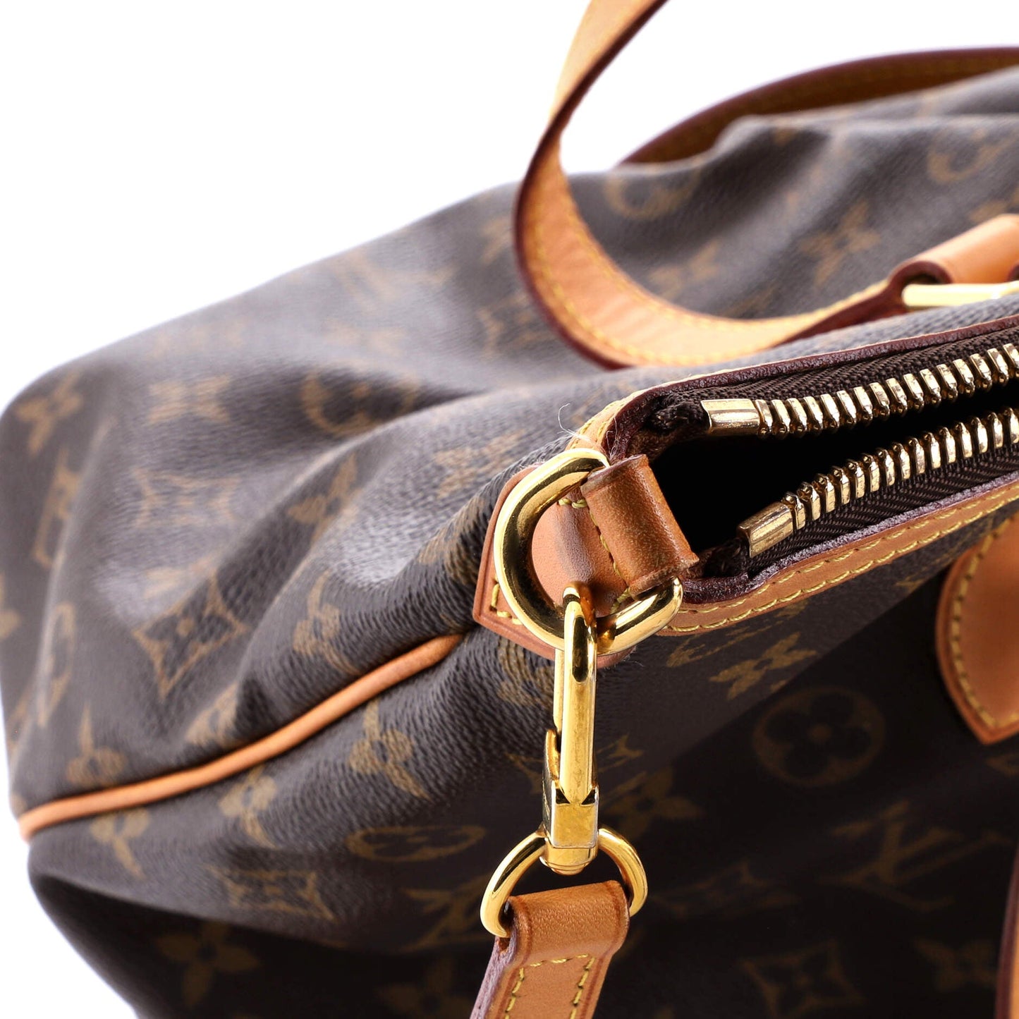 Palermo Handbag Monogram Canvas PM