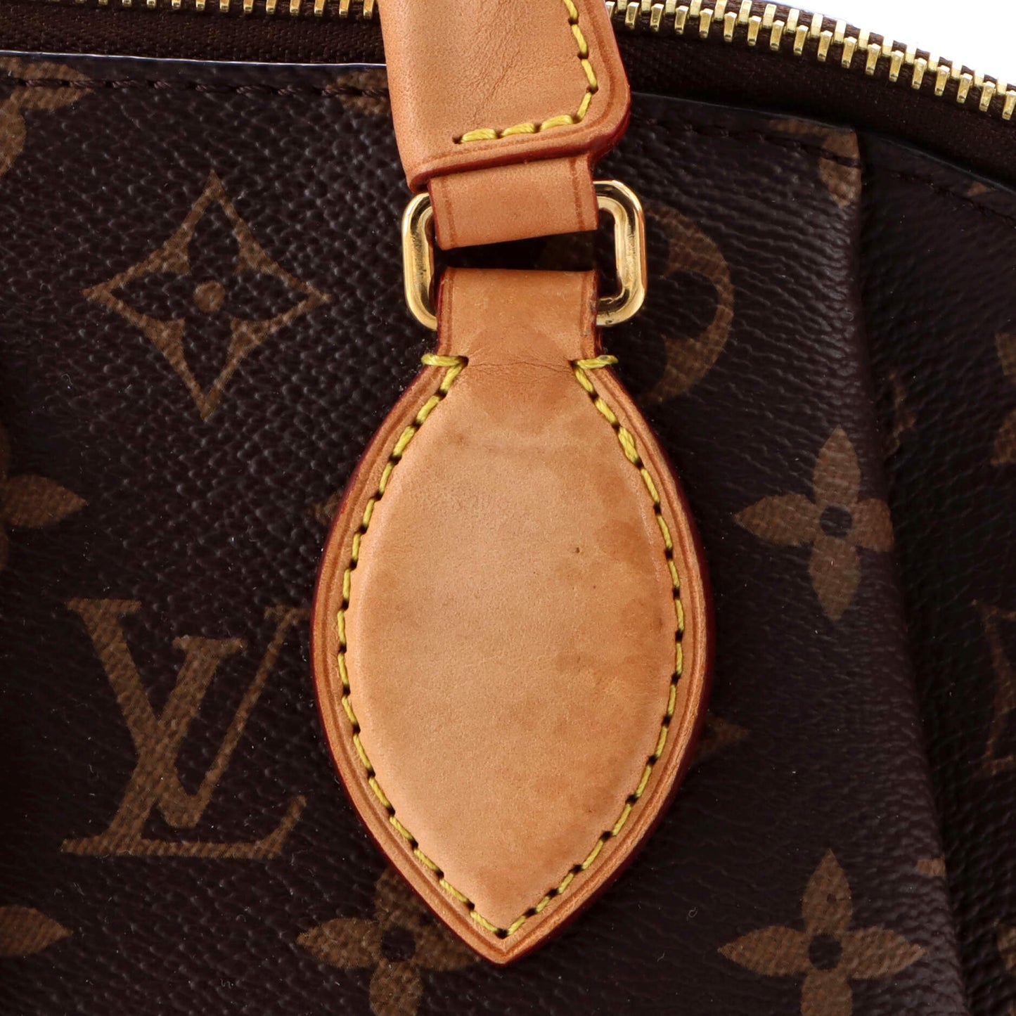 Rivoli Handbag Monogram Canvas PM