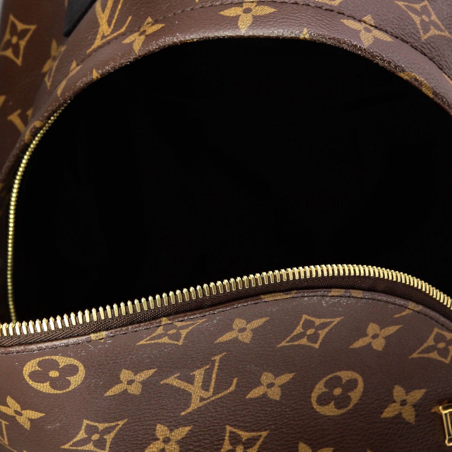 Palm Springs Backpack Monogram Canvas MM