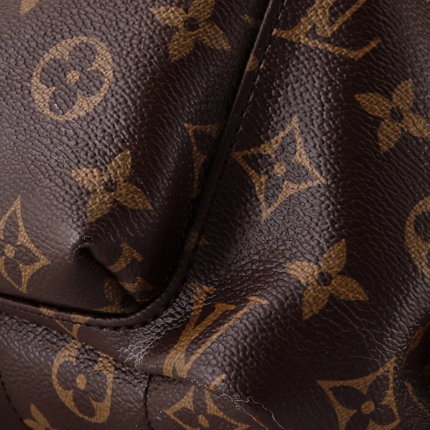 Palm Springs Backpack Monogram Canvas MM
