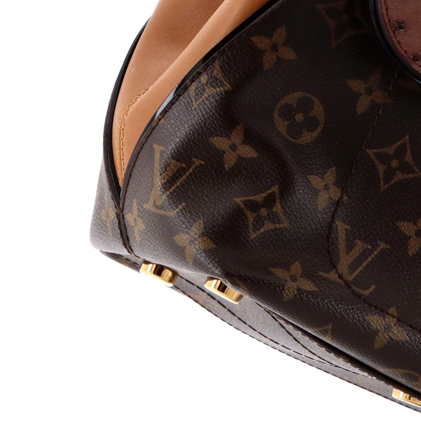 Majestueux Tote Monogram Canvas and Exotics PM