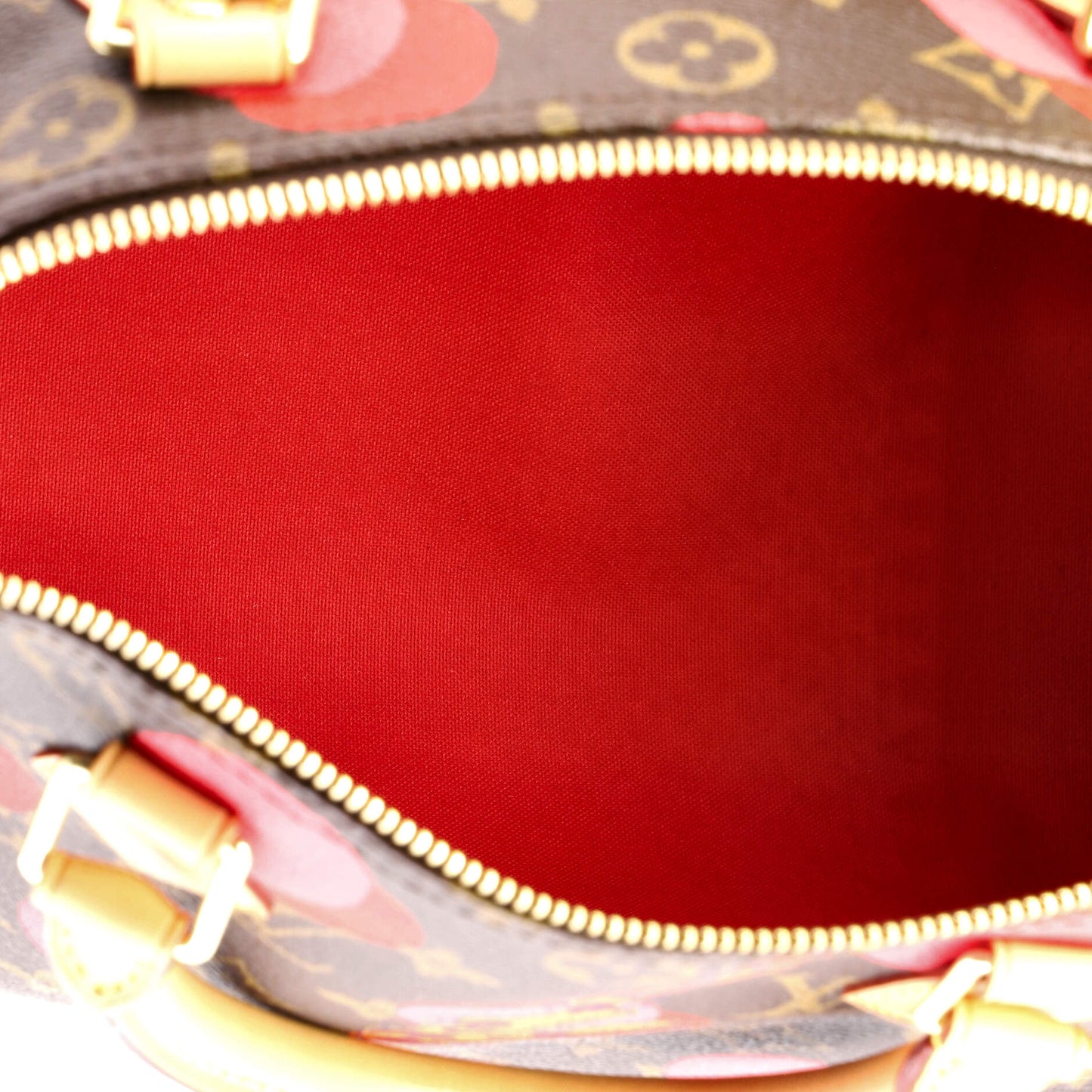 Speedy Handbag Limited Edition Monogram Ramages 30