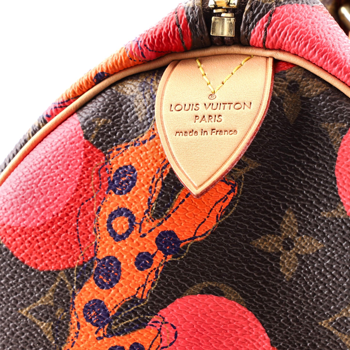 Speedy Handbag Limited Edition Monogram Ramages 30