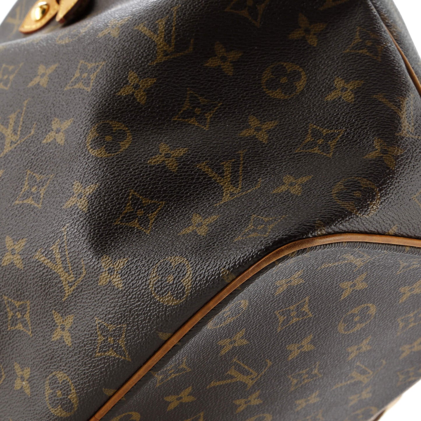 Palermo Handbag Monogram Canvas GM