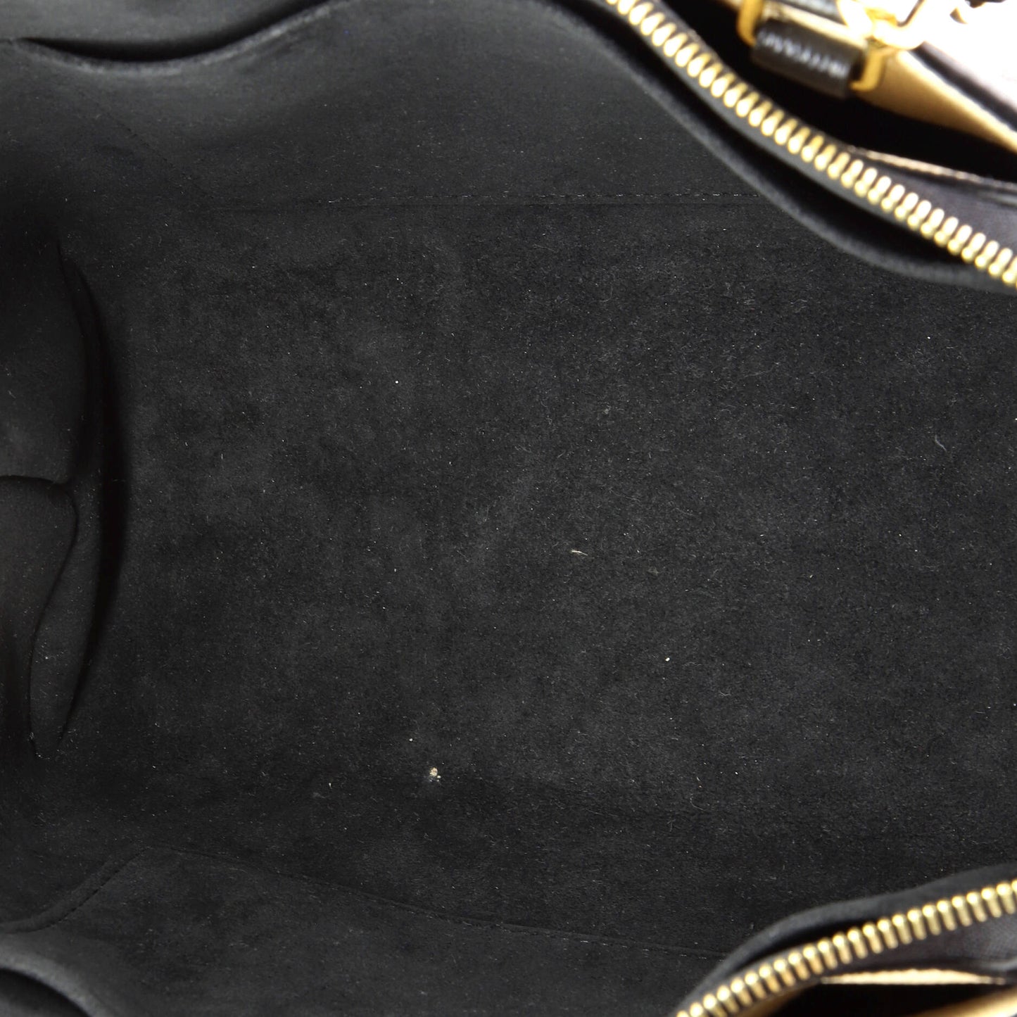 Petit Palais Handbag Bicolor Monogram Empreinte Giant