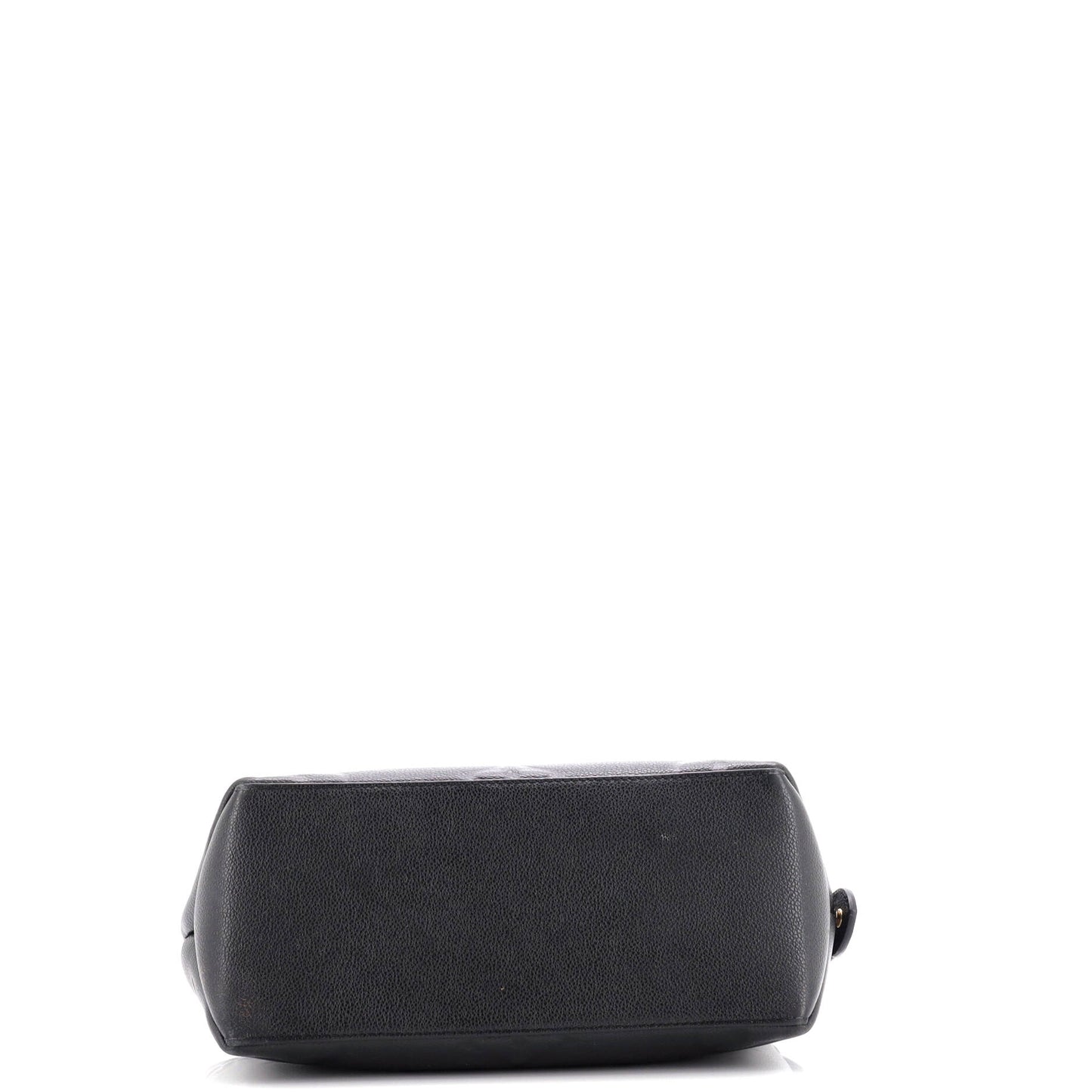 Petit Palais Handbag Monogram Empreinte Giant