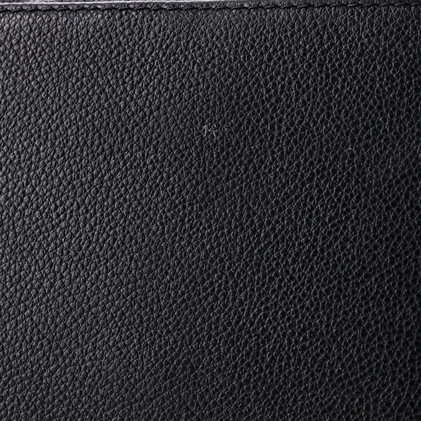 Petit Palais Handbag Monogram Empreinte Giant
