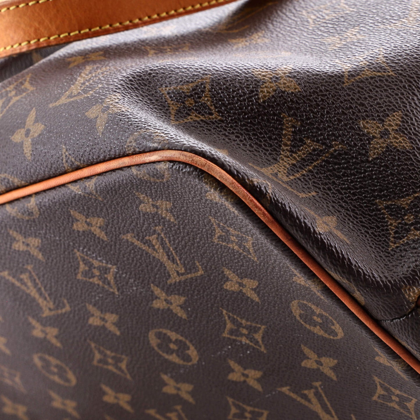 Palermo Handbag Monogram Canvas PM