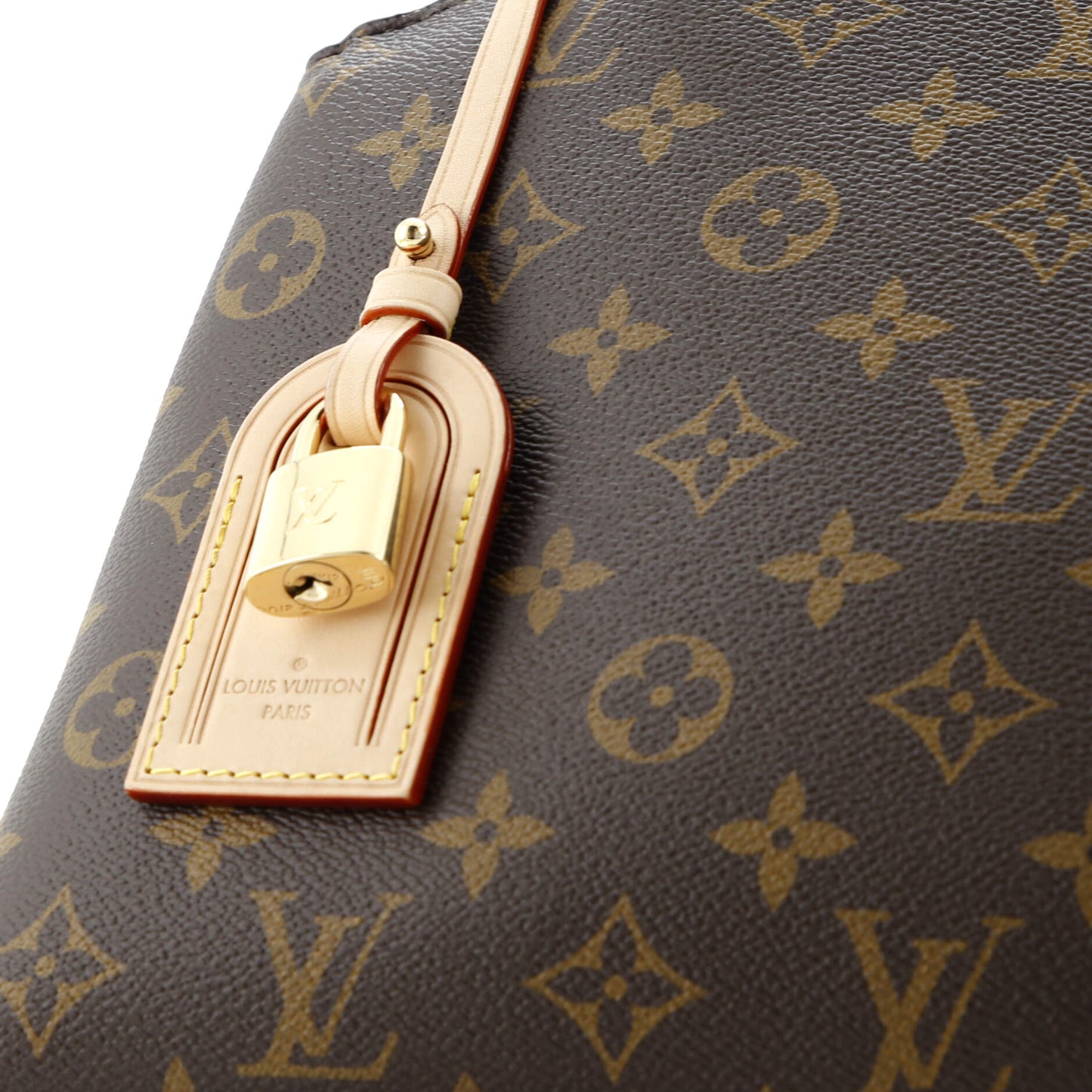 Petit Palais Handbag Monogram Canvas