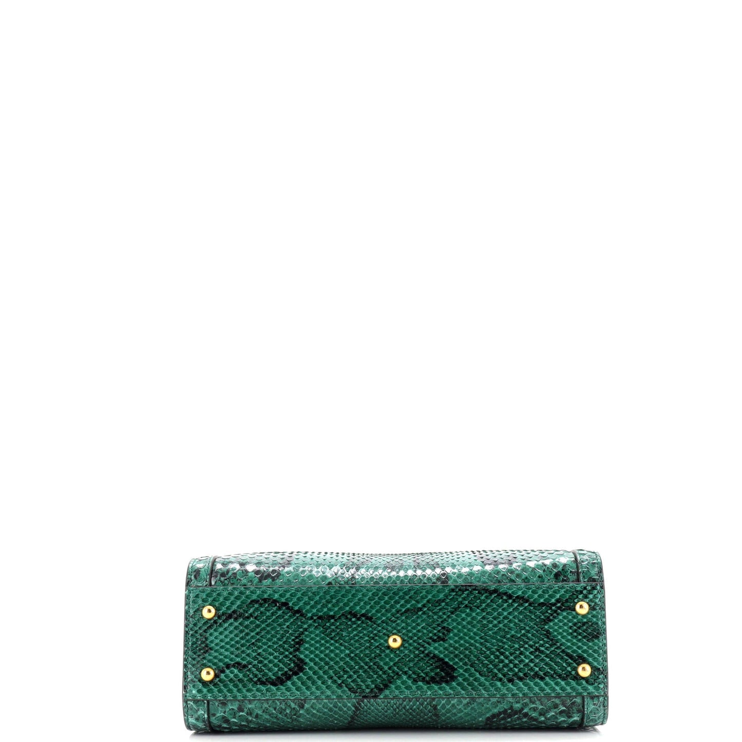 Diana NM Bamboo Handle Tote Python Small