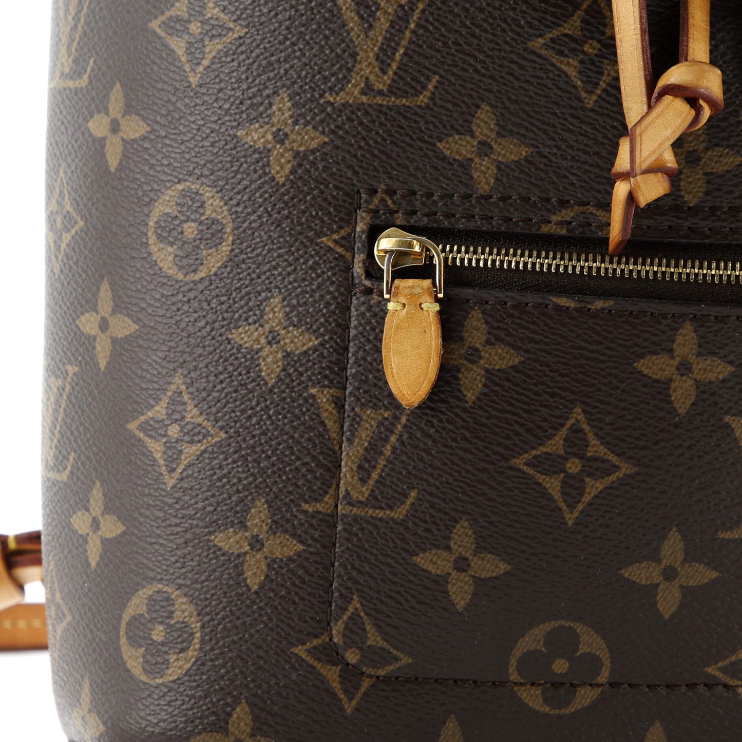 Montsouris Backpack Monogram Canvas