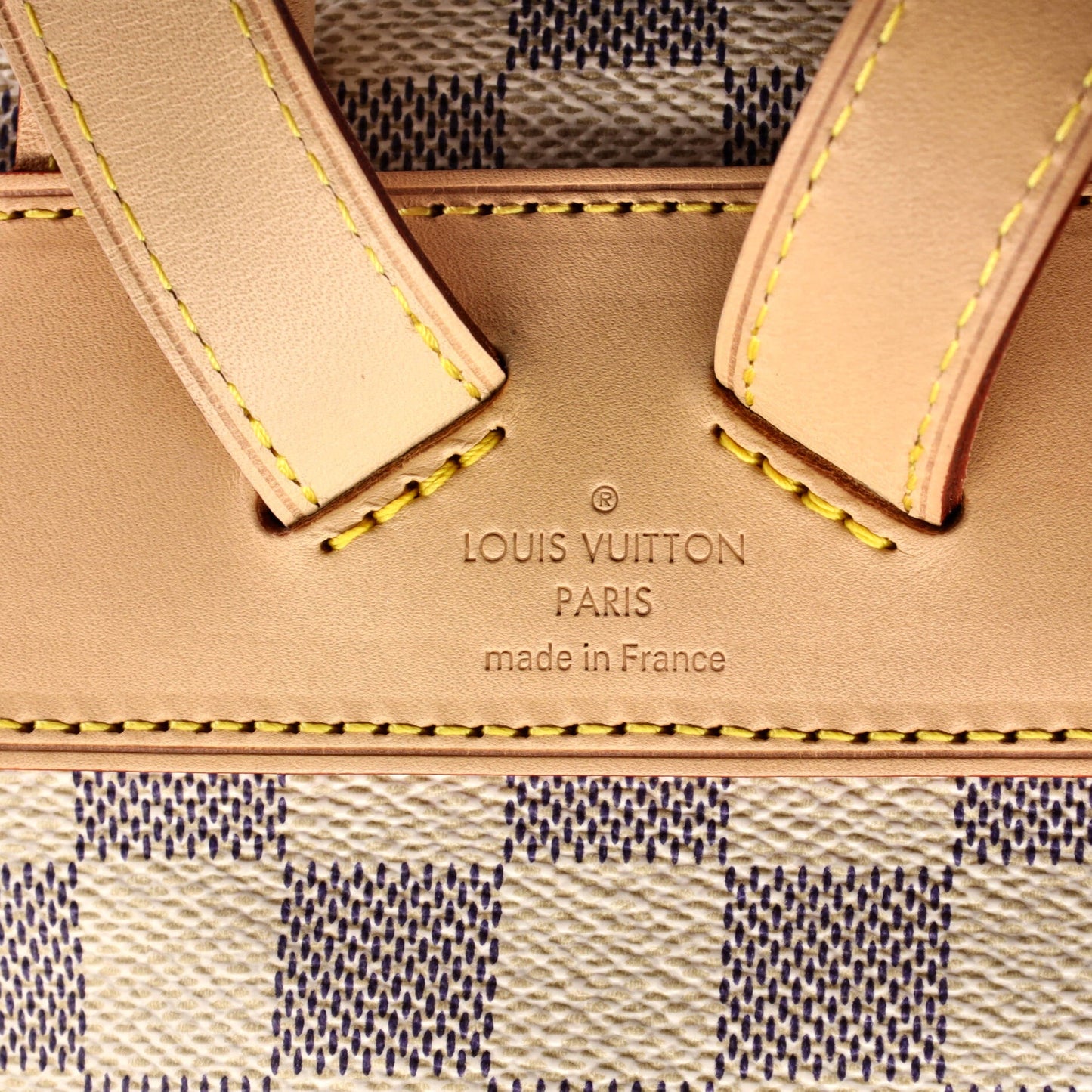 Sperone Backpack Damier