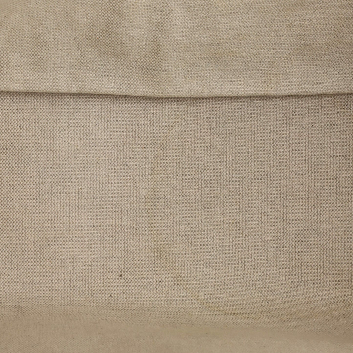 Plus Tote GG Coated Canvas with Leather Large