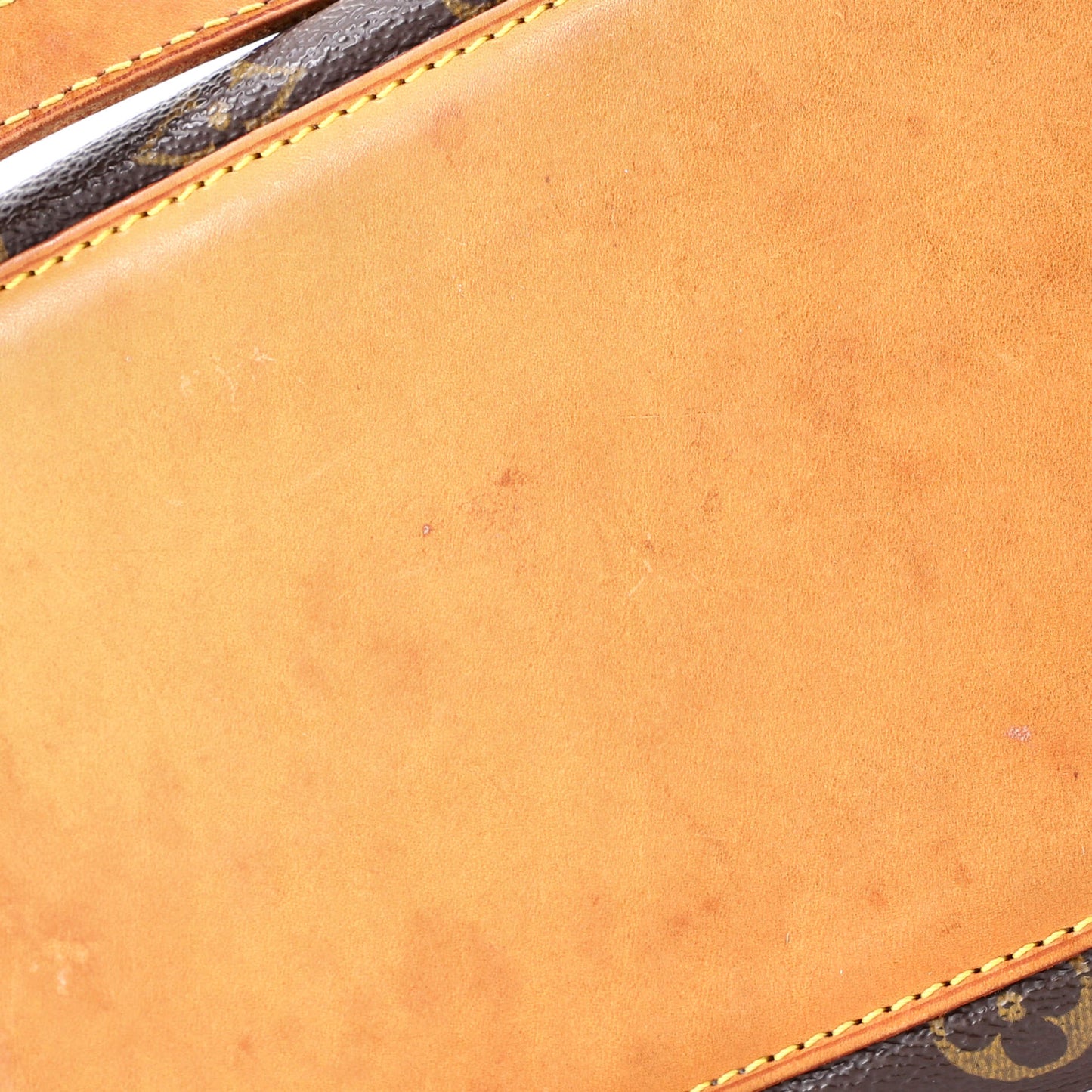 Cabas Piano Monogram Canvas