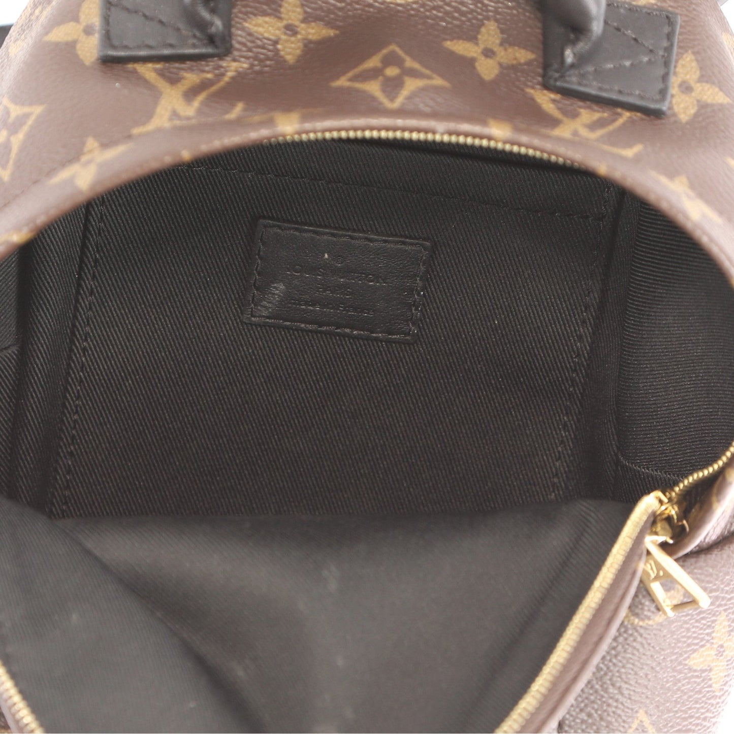 Palm Springs Backpack Monogram Canvas Mini