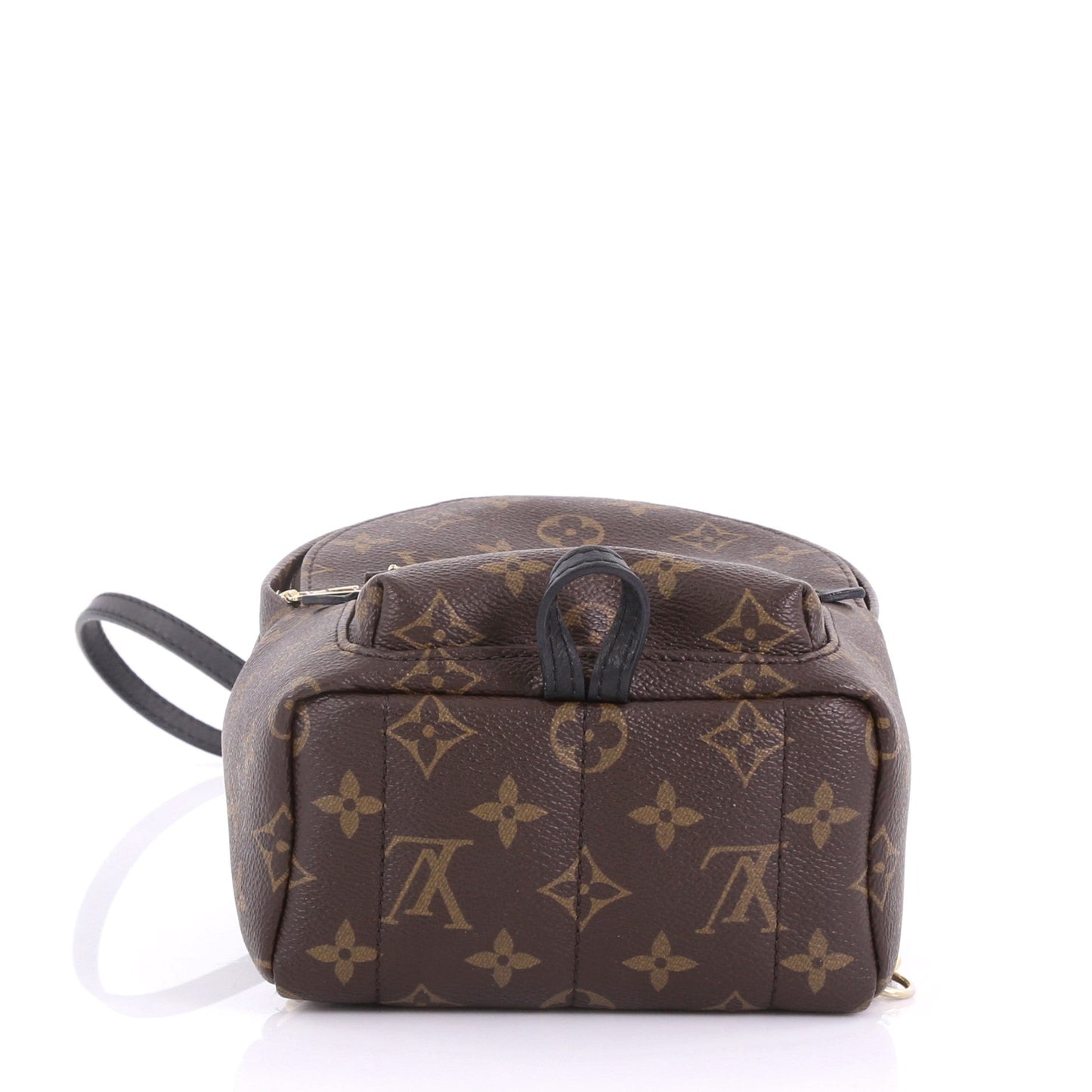 Palm Springs Backpack Monogram Canvas Mini