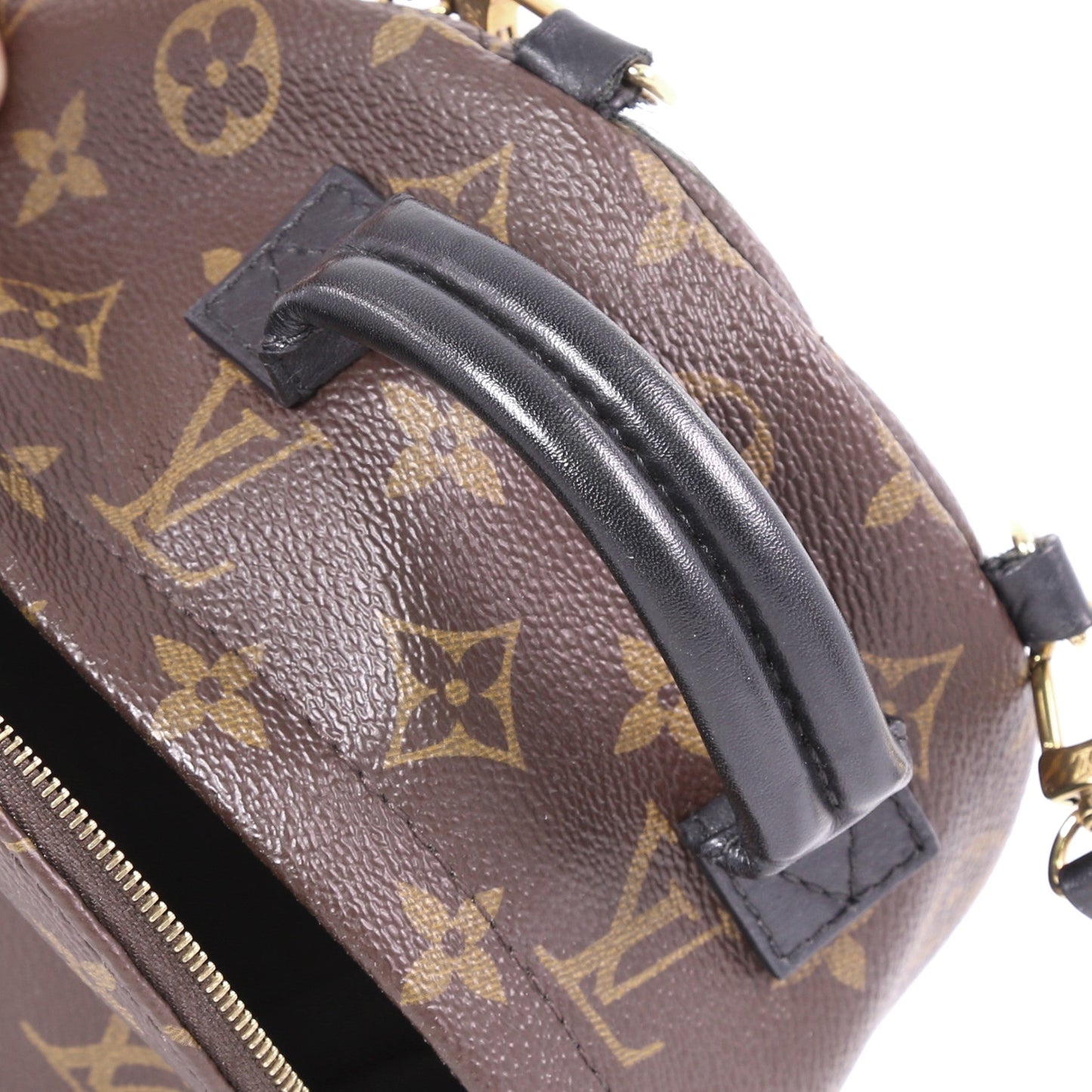 Palm Springs Backpack Monogram Canvas Mini