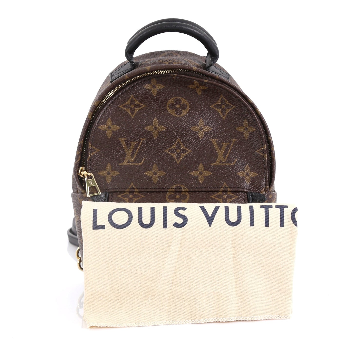 Palm Springs Backpack Monogram Canvas Mini