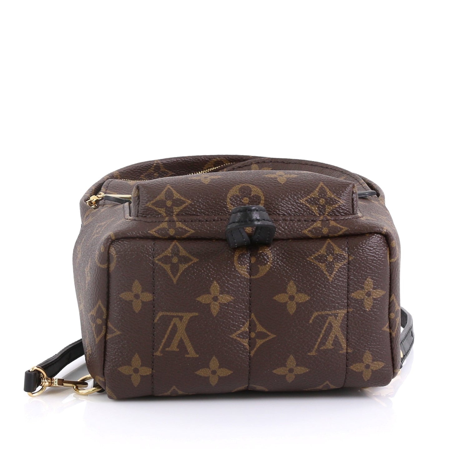 Palm Springs Backpack Monogram Canvas Mini