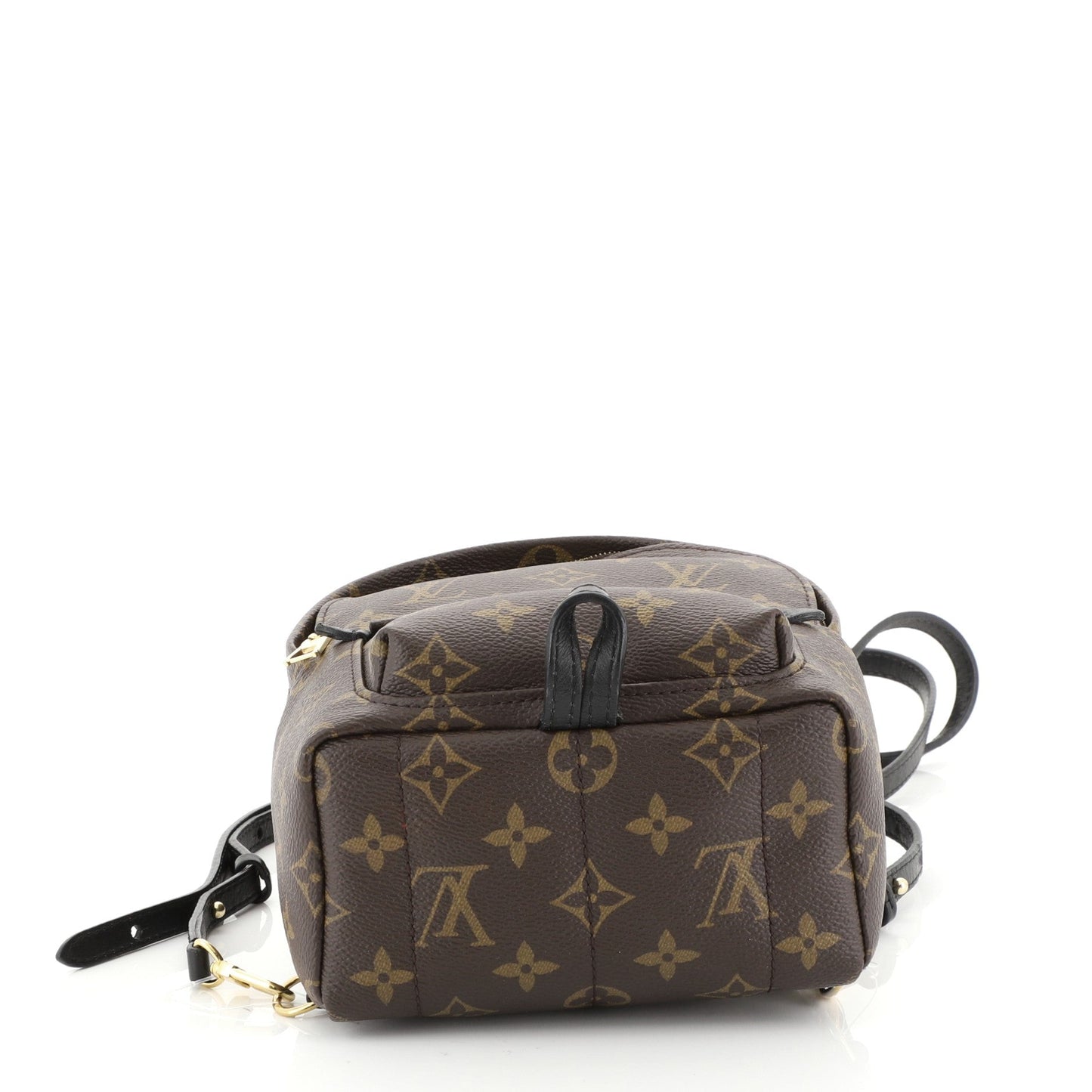 Palm Springs Backpack Monogram Canvas Mini
