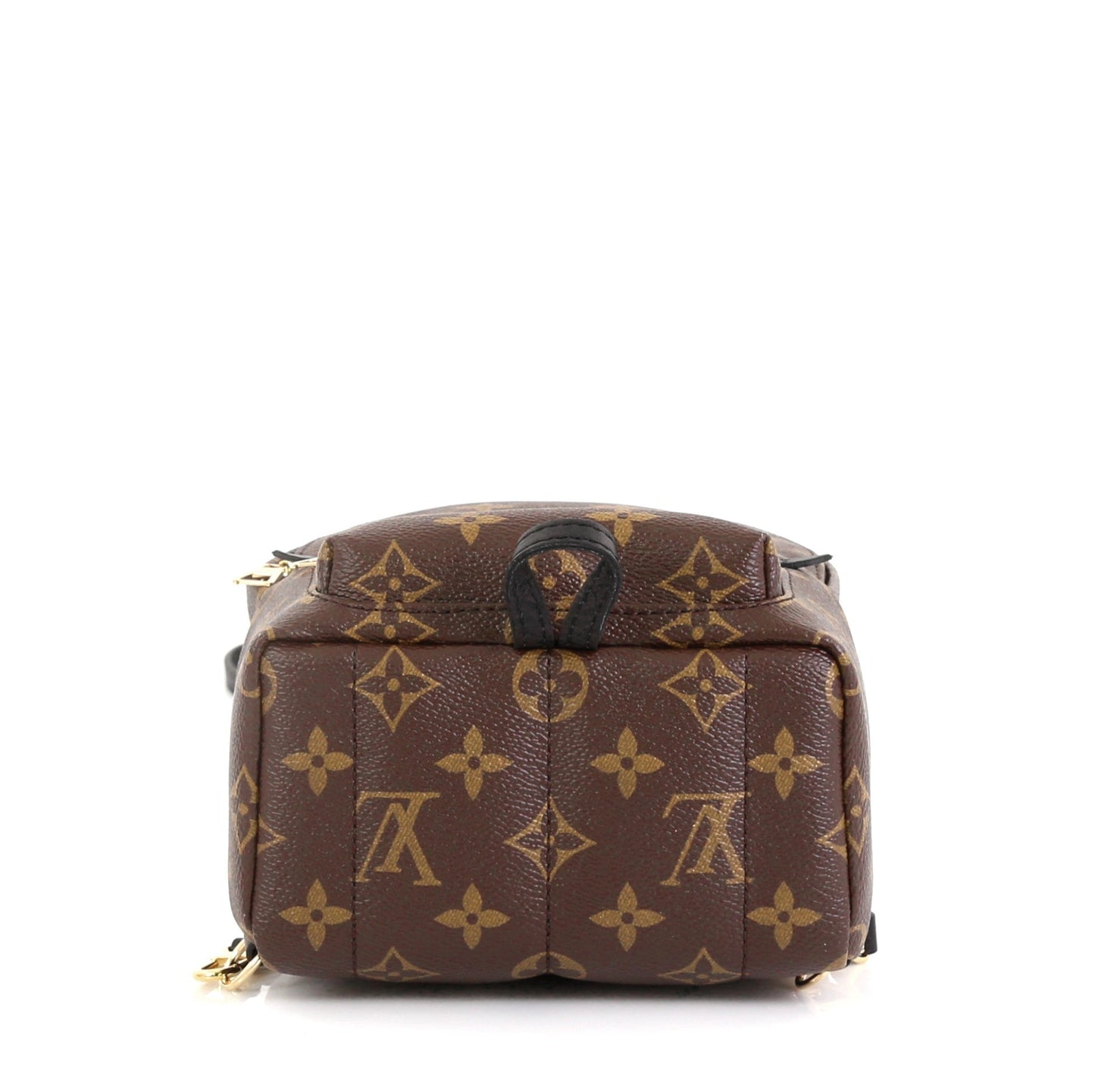 Palm Springs Backpack Monogram Canvas Mini