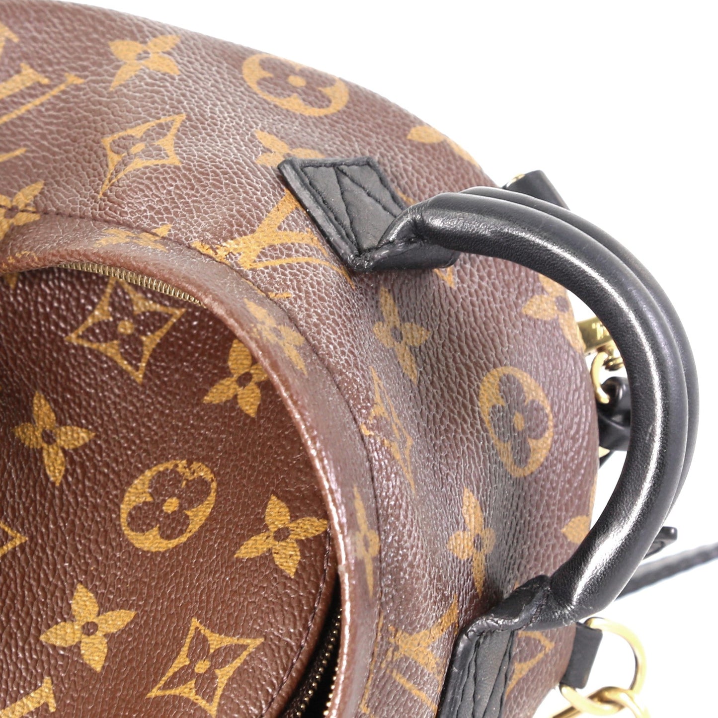 Palm Springs Backpack Monogram Canvas Mini