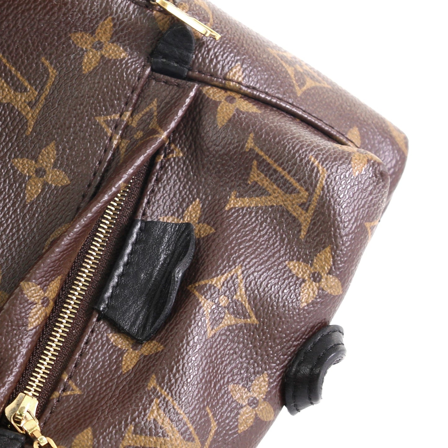 Palm Springs Backpack Monogram Canvas Mini
