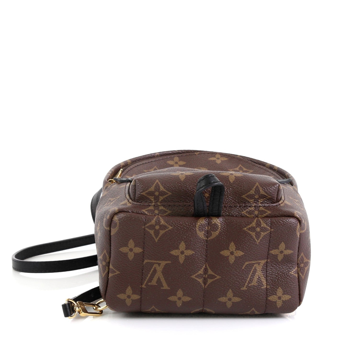 Palm Springs Backpack Monogram Canvas Mini