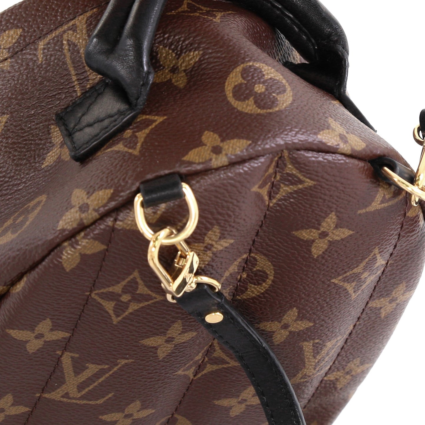 Palm Springs Backpack Monogram Canvas Mini
