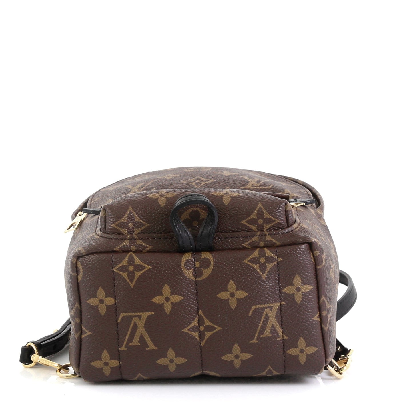 Palm Springs Backpack Monogram Canvas Mini