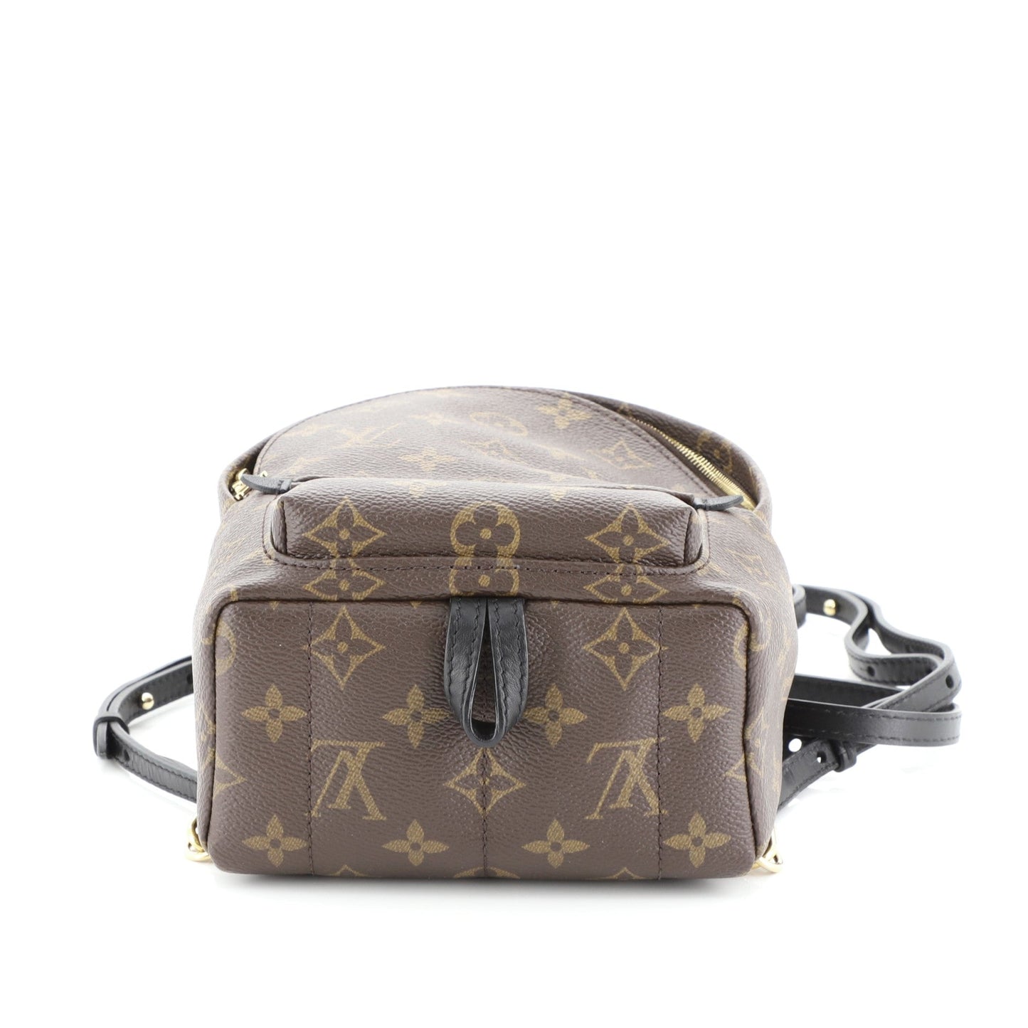 Palm Springs Backpack Monogram Canvas Mini
