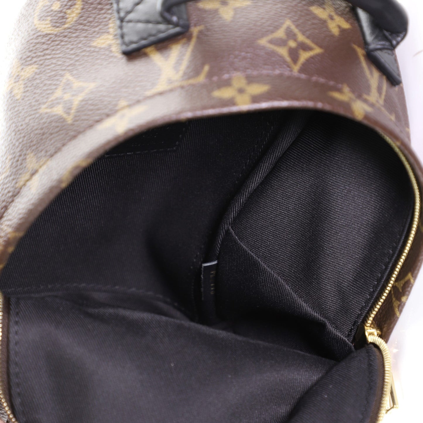 Palm Springs Backpack Monogram Canvas Mini