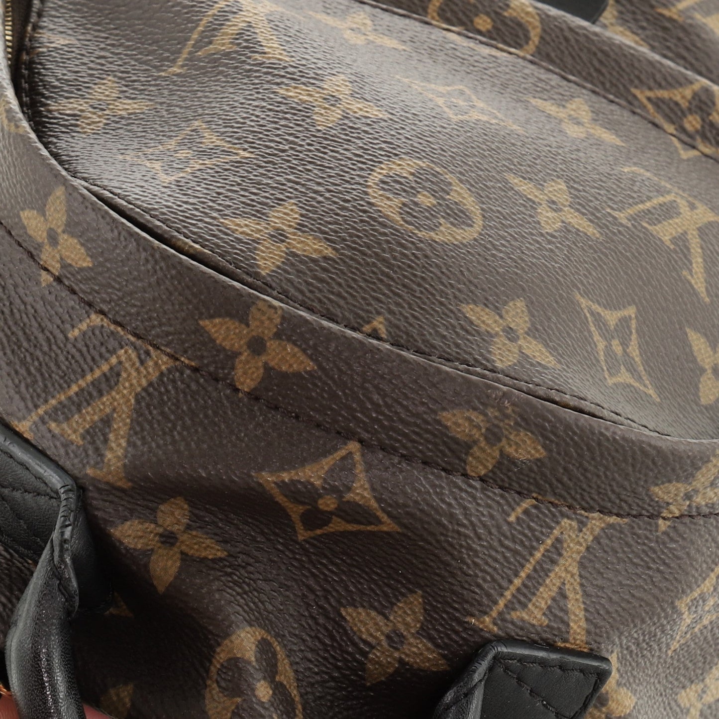Palm Springs Backpack Monogram Canvas Mini