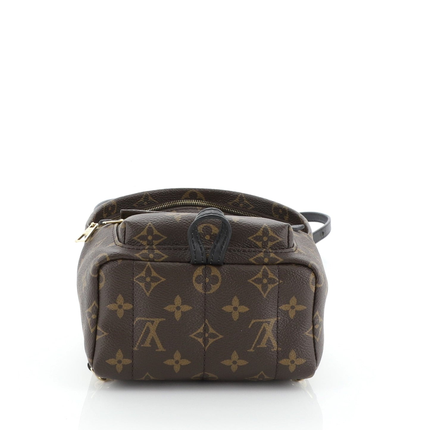 Palm Springs Backpack Monogram Canvas Mini