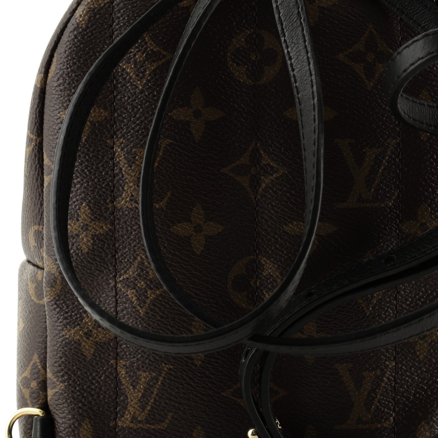 Palm Springs Backpack Monogram Canvas Mini
