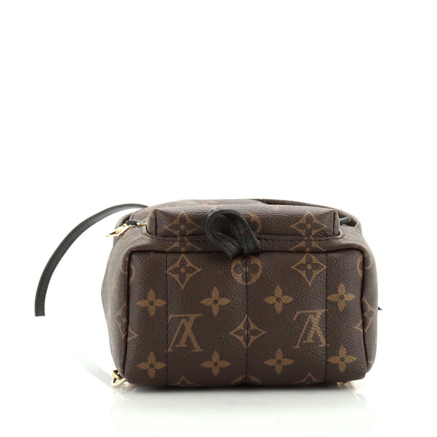 Palm Springs Backpack Monogram Canvas Mini