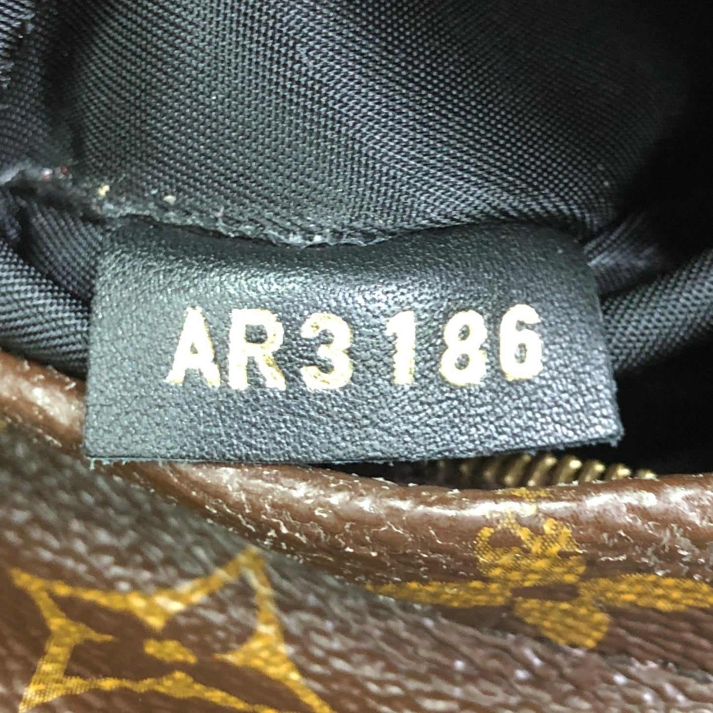 Palm Springs Backpack Monogram Canvas Mini