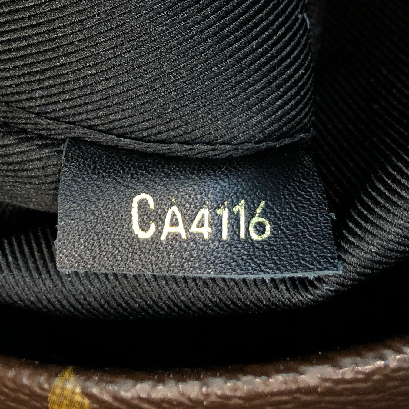 Palm Springs Backpack Monogram Canvas Mini