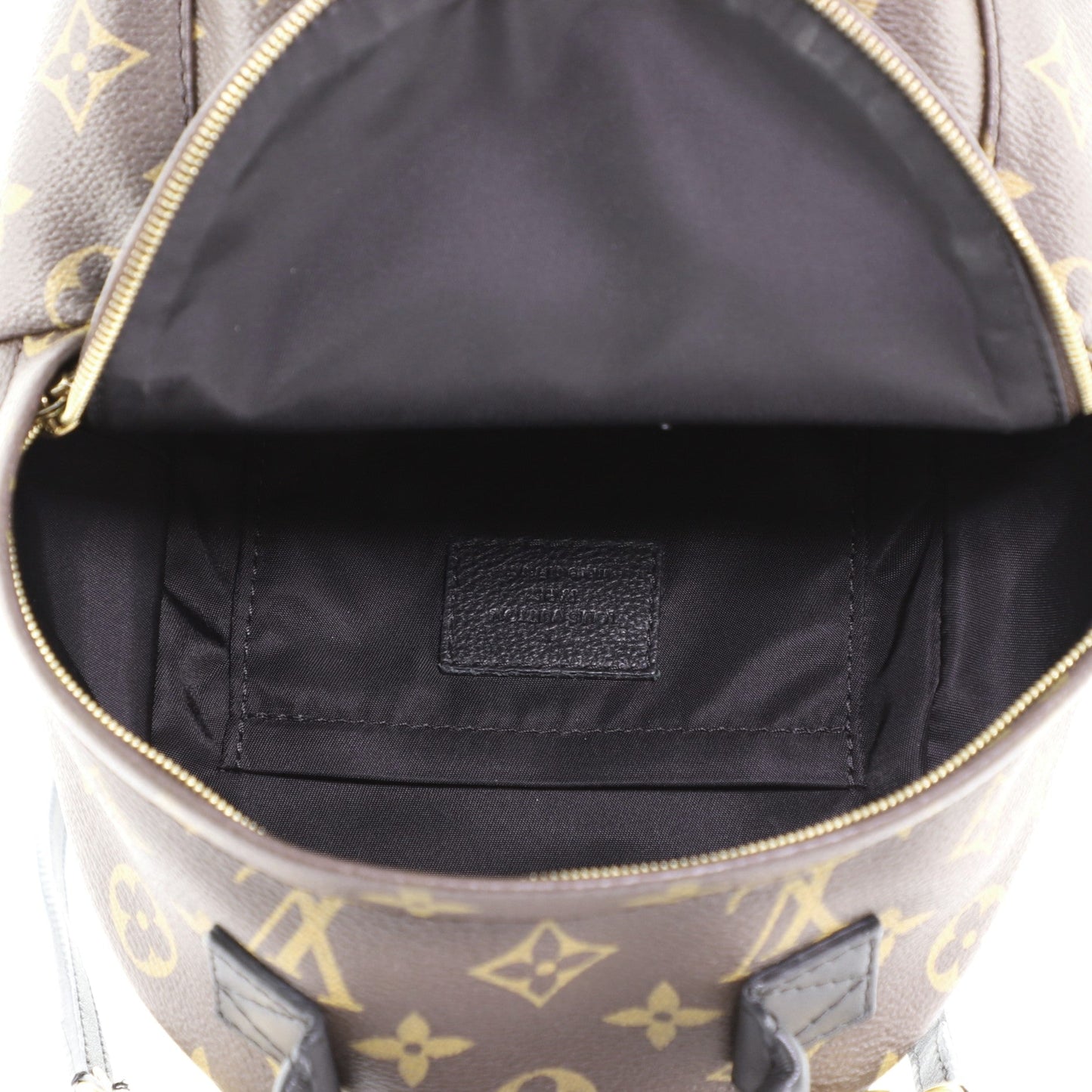 Palm Springs Backpack Monogram Canvas Mini